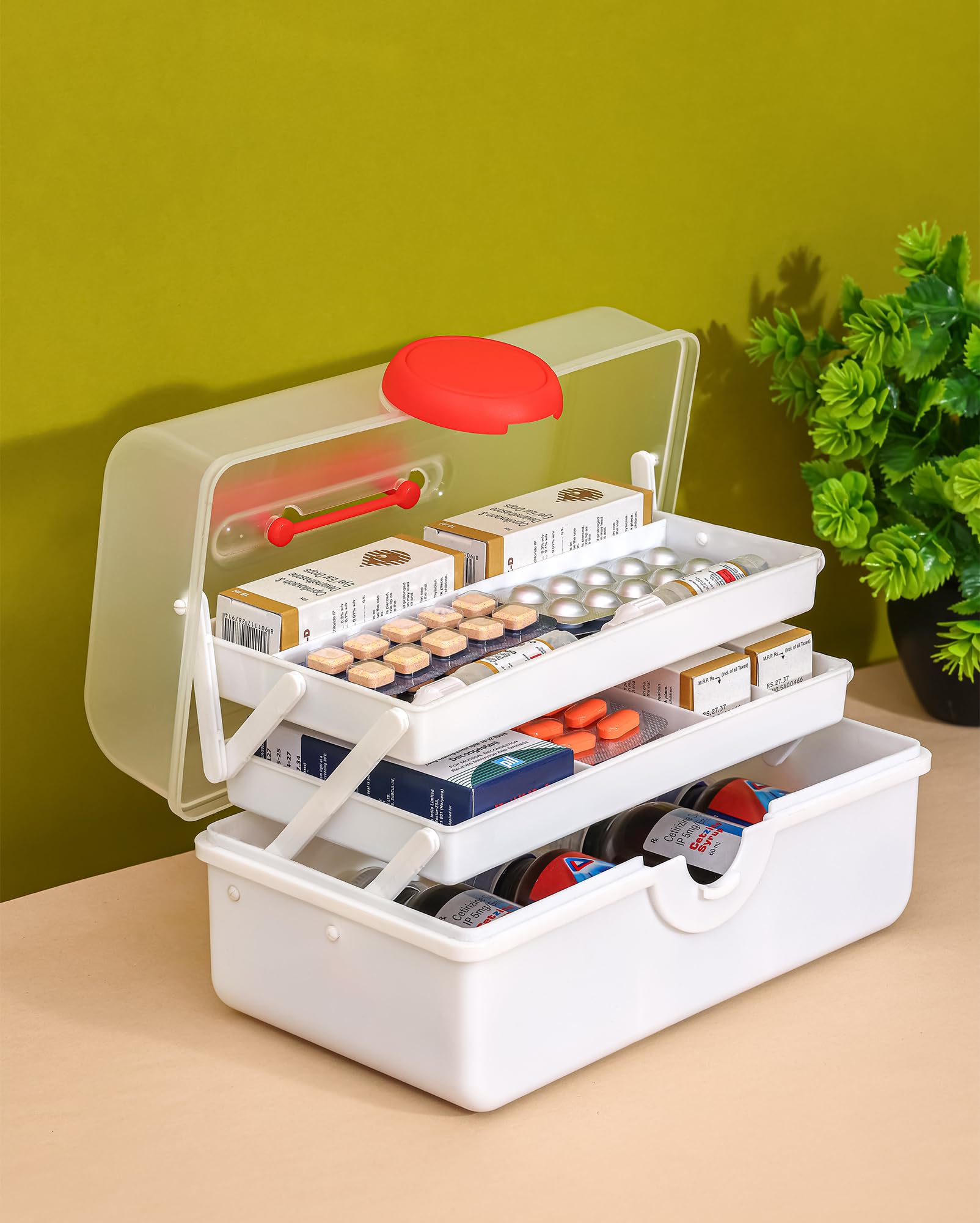 Amazon.com: Primelife Plastic Rectangular Medicine Box, Medical